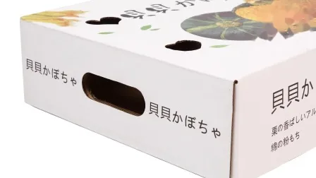 China Remote Monitoring System Webber Cartons with Knock Down Loading Home Furniture Network Cabinet